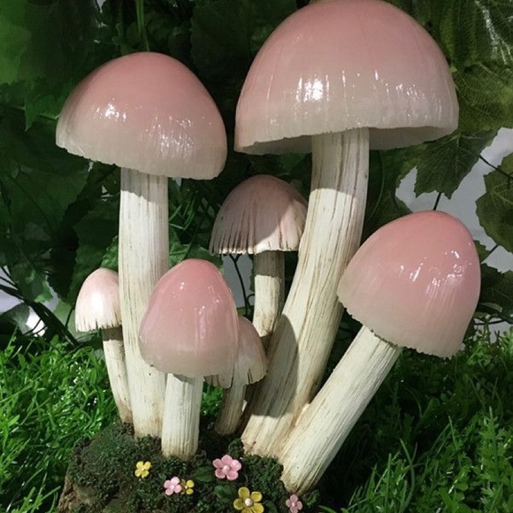 Meet your Posher, Grace - Picture 1 of 1